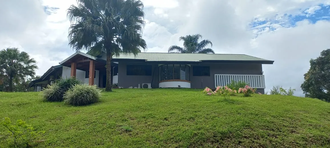 Ventanas y jardin de la casa.